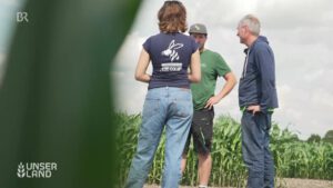 Das Startup Geoxip macht moderne Geoglyphen möglich, siehe #vielebienen