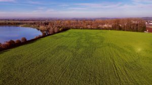 Moderne Geoglyphe am Munich Airport zeigt Tierbild Feuersalander