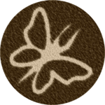 Nature as a Display e.V. Geoglyphe Icon