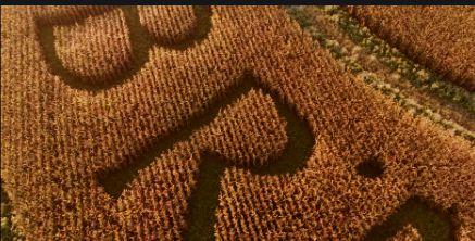 Geoglyphe als Schriftzug im Feld